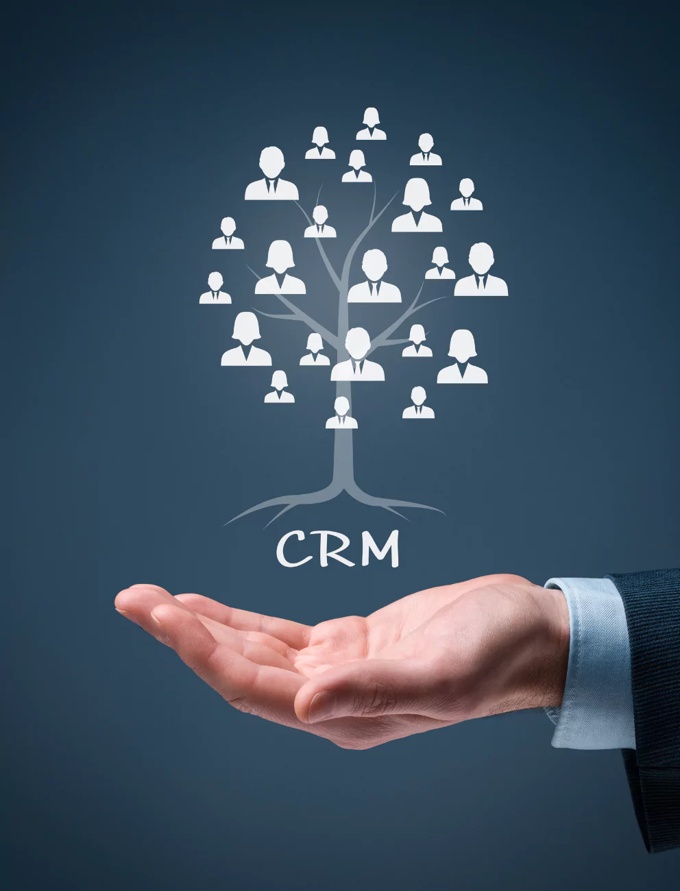 Customizable Solutions