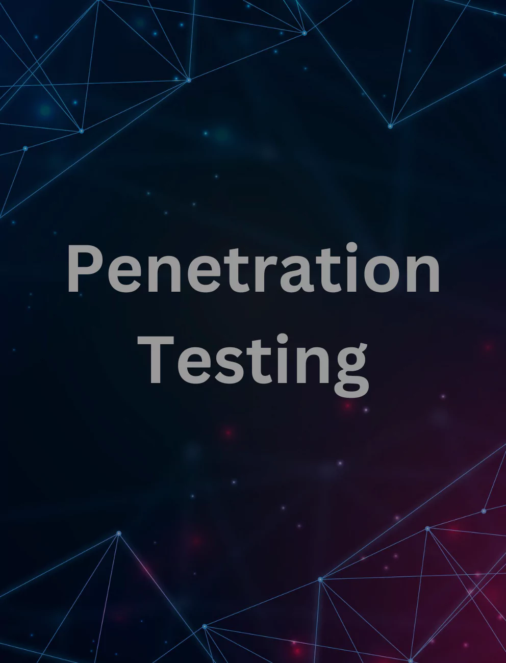 Expert Penetration Testers