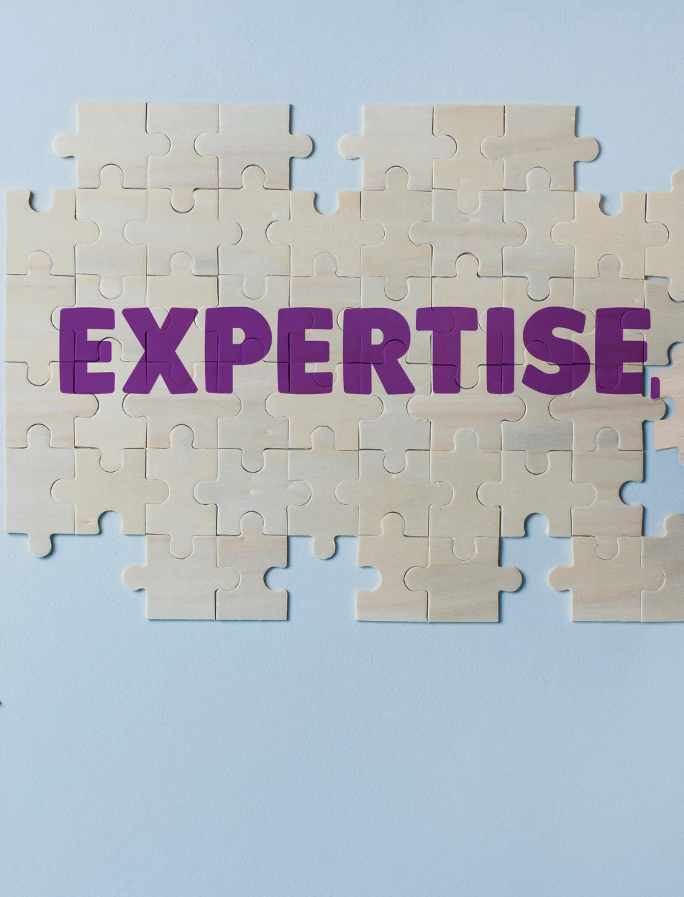 Compliance Expertise